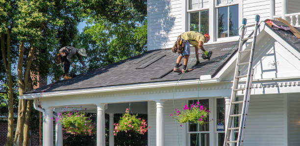 Roof Gutter Cleaning in Sheldon, TX